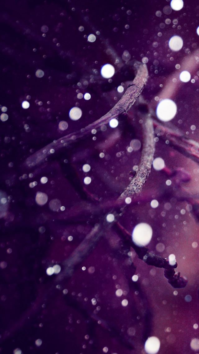 640x1136 Will Be Fine - branch iPhone Wallpaper