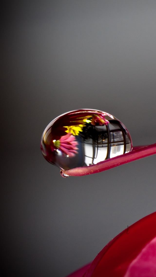 640x1136 Water Drop Reflection - white iPhone Wallpaper