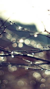 Best Twigs iPhone HD Wallpapers - iLikeWallpaper