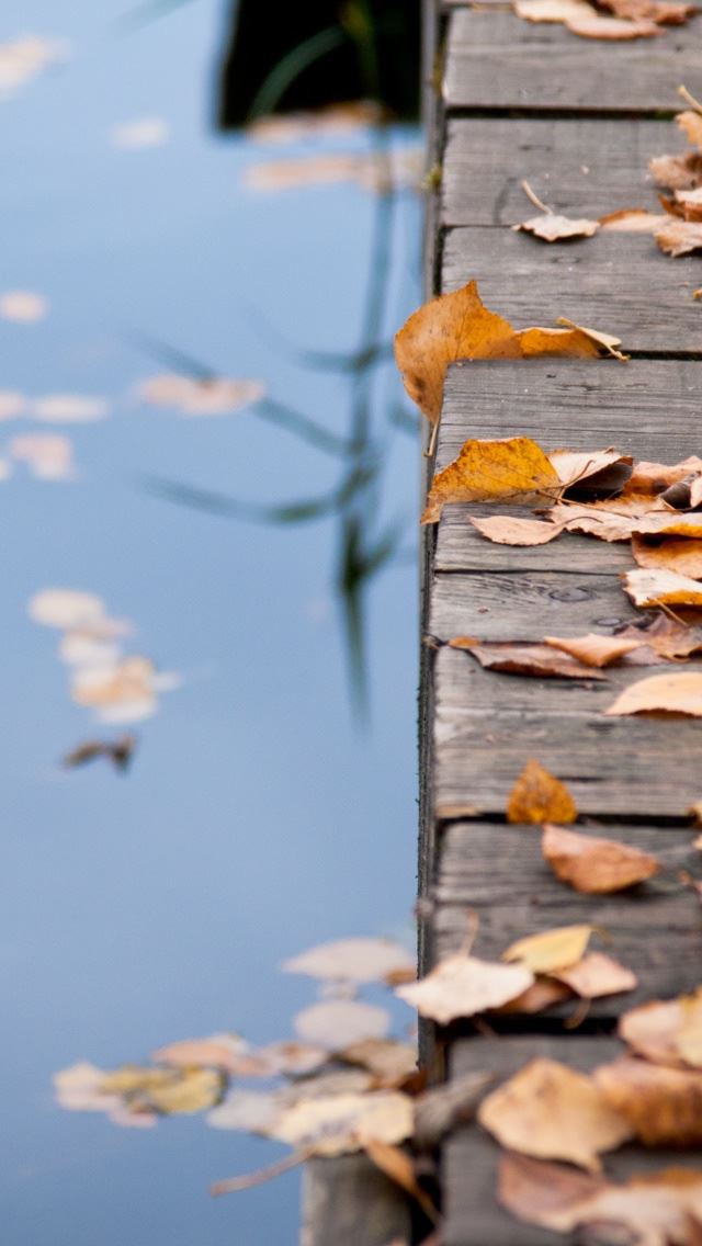 640x1136 Autumn Leaves On Wooden Bridge - wooden iPhone Wallpaper