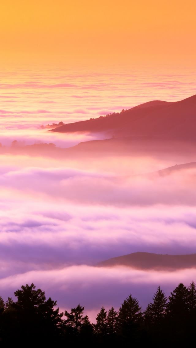 640x1136 Foggy Hills - tree iPhone Wallpaper