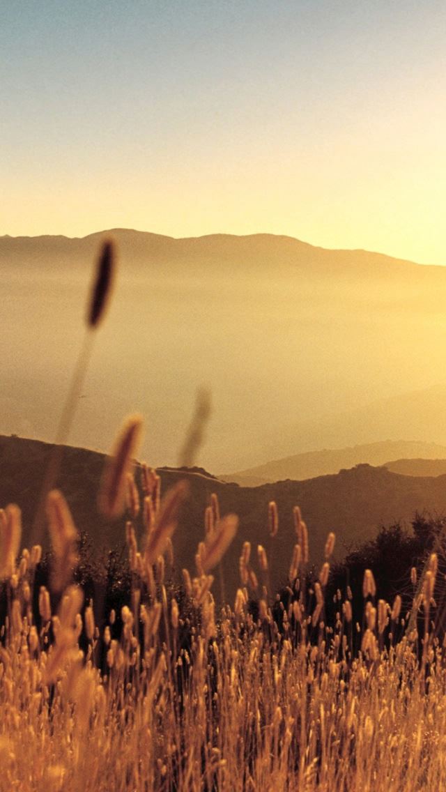 640x1136 Late Summer Field - sky iPhone Wallpaper