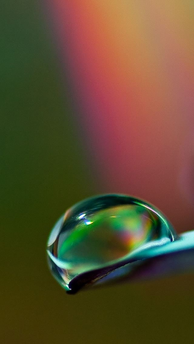 640x1136 Drops Macro 3 - purple iPhone Wallpaper