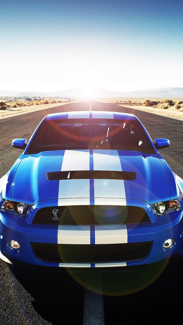 640x1136 Shelby - shelby iPhone Wallpaper