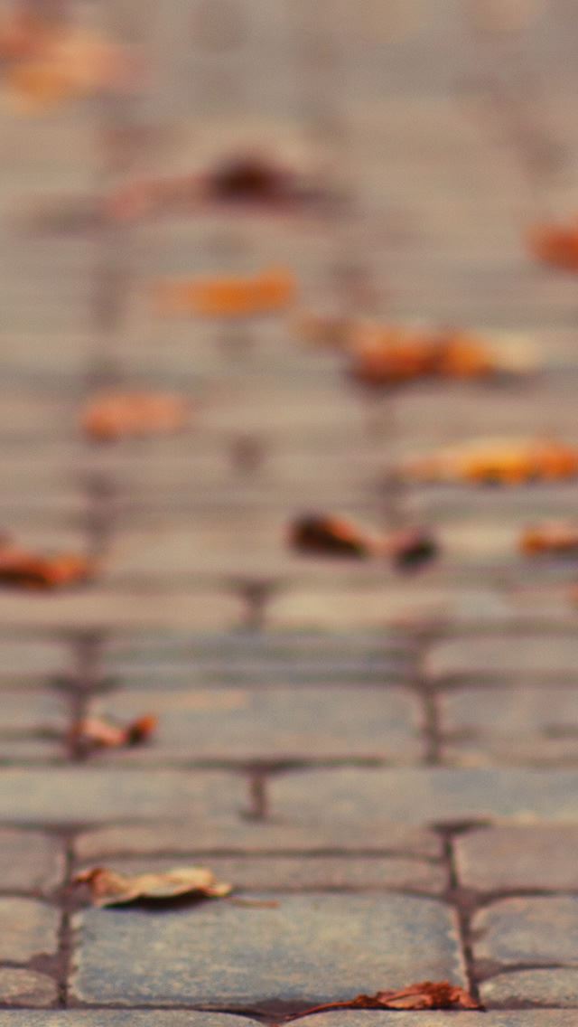 640x1136 October Leaves - leaves iPhone Wallpaper