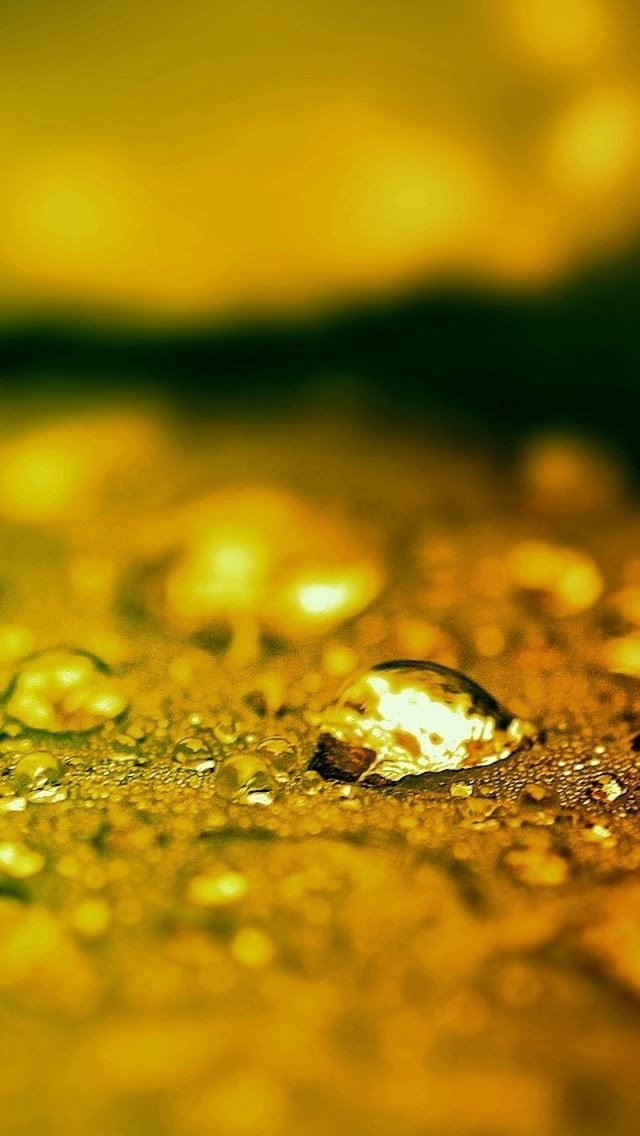 640x1136 Wet Leaf Bokeh - leaf iPhone Wallpaper
