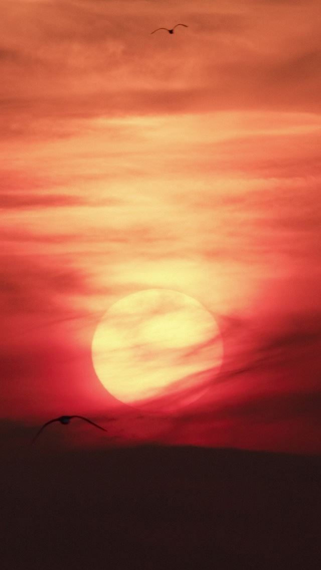 640x1136 Journey To The Sun - birds iPhone Wallpaper