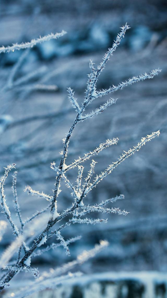 640x1136 Frost -  iPhone Wallpaper
