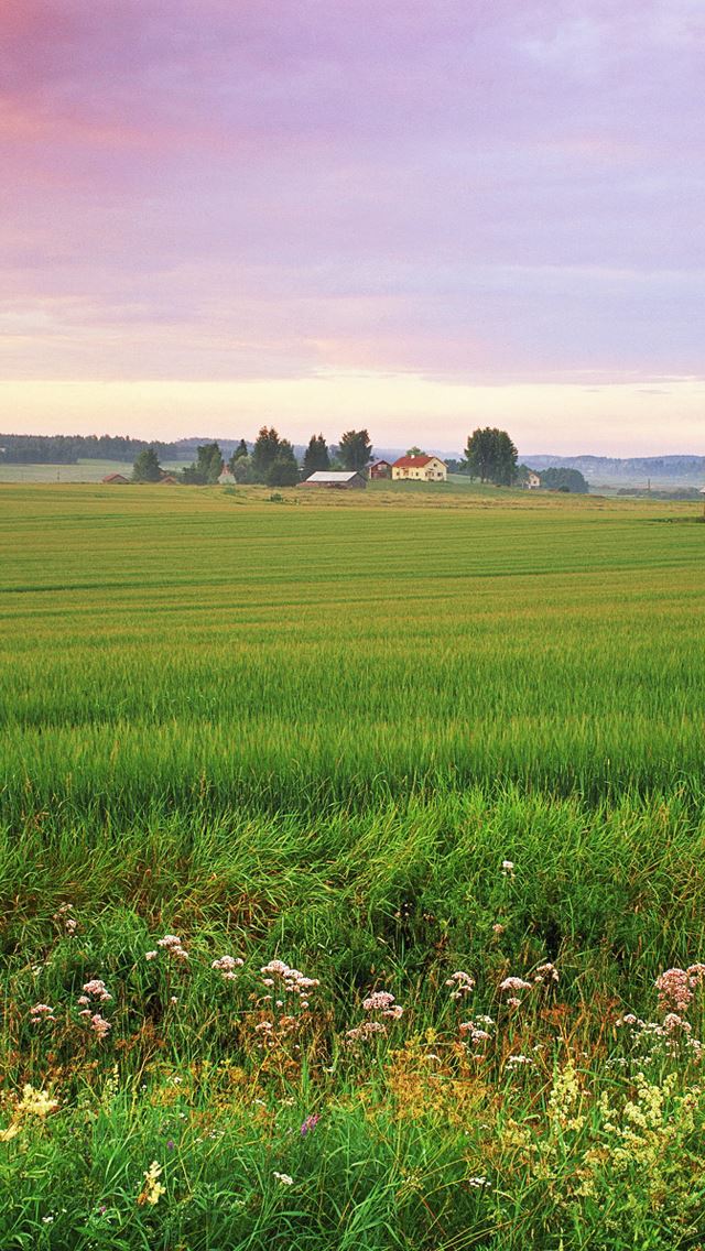 640x1136 Scotland - scotland iPhone Wallpaper