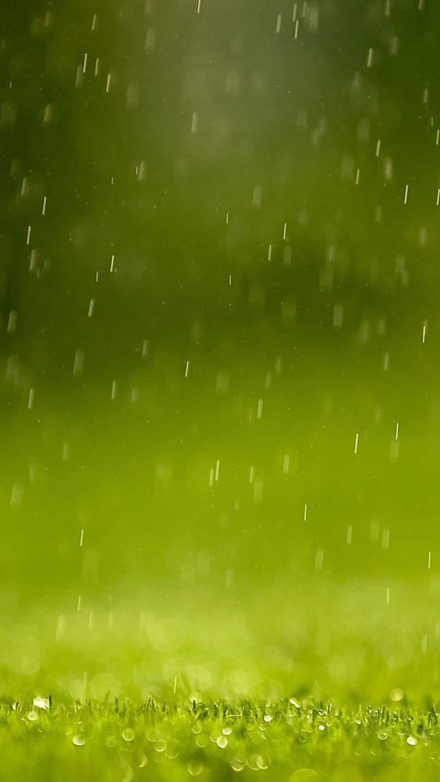 Rain iPhone wallpaper 