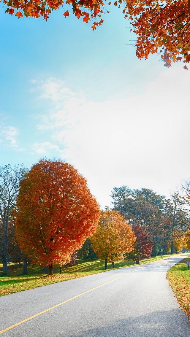 640x1136 Landscape 42 - road iPhone Wallpaper