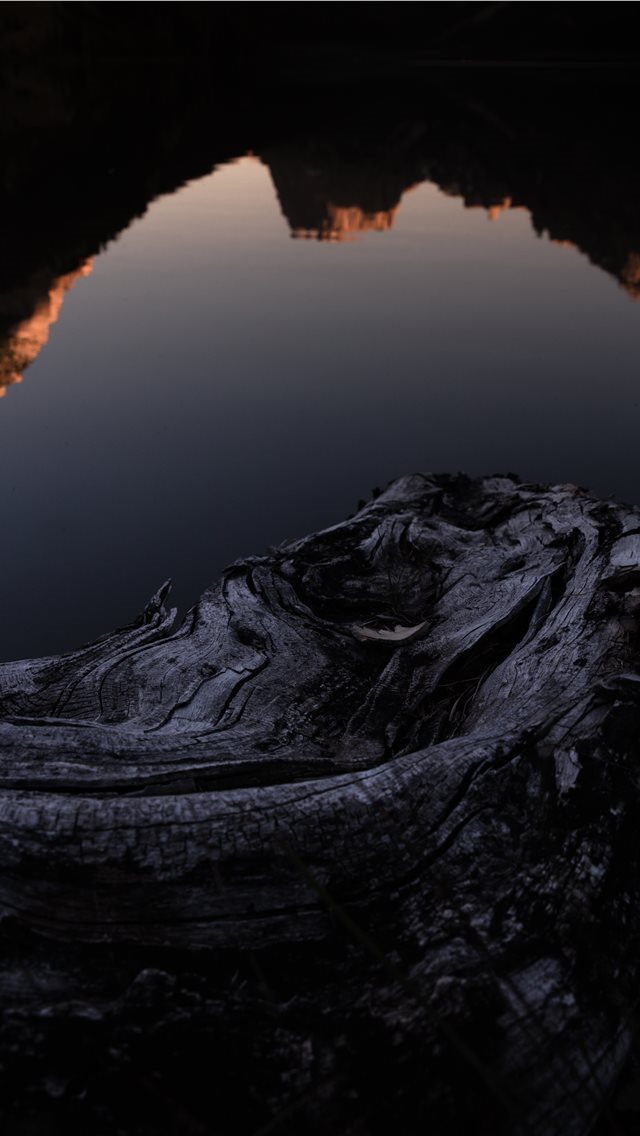 640x1136 Wood Reflection - lake iPhone Wallpaper