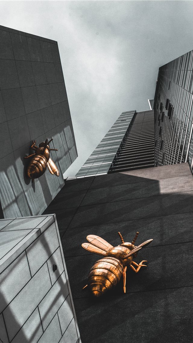 640x1136 Queen Bee - bee iPhone Wallpaper