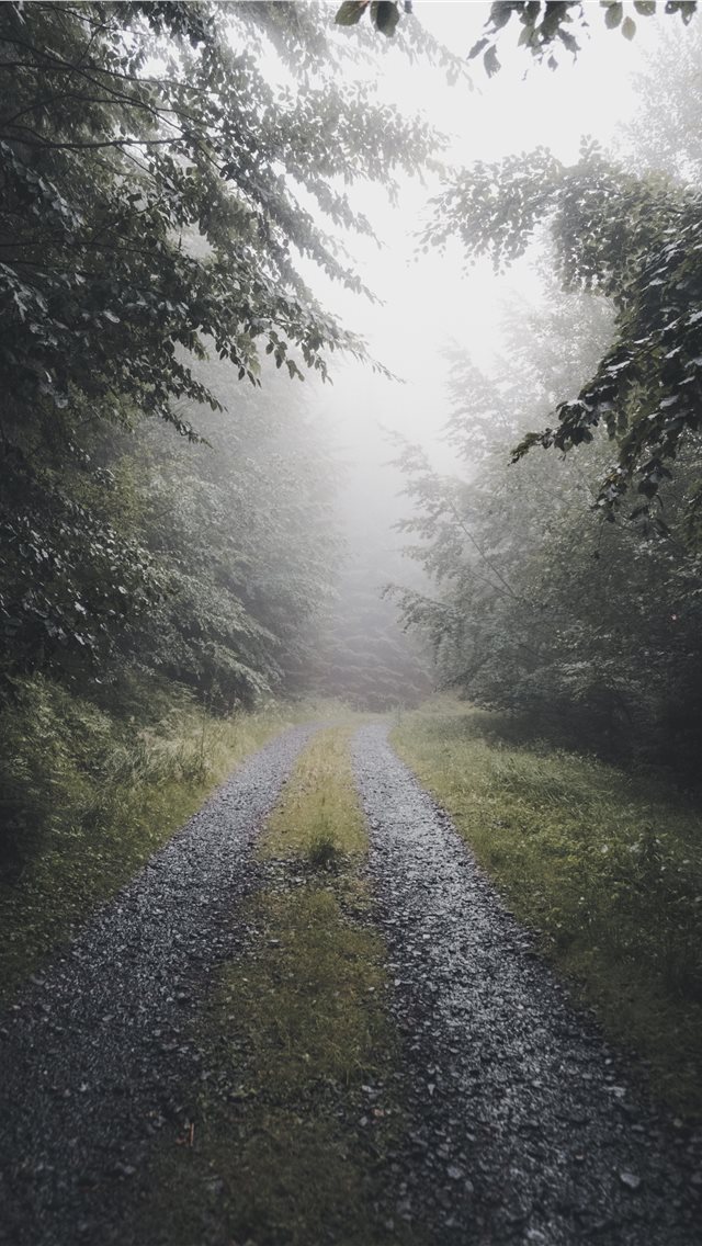 640x1136 fog it - fog iPhone Wallpaper