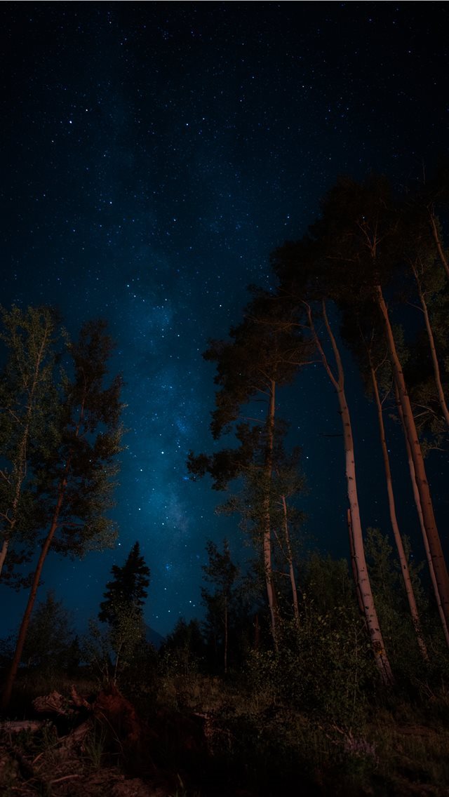 640x1136 darkness - darkness iPhone Wallpaper
