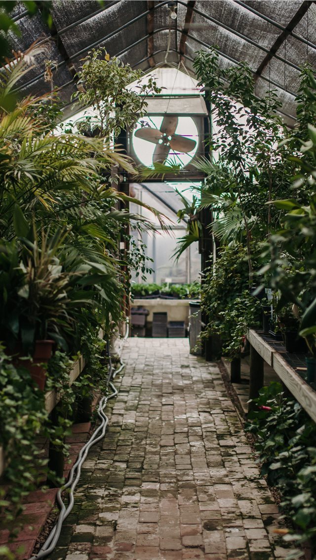 640x1136 Surrounded by Life  - aesthetic iPhone Wallpaper