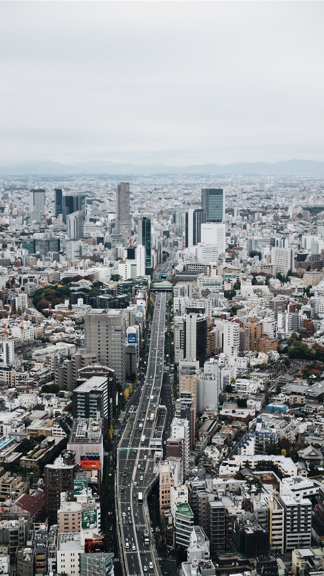 640x1136 Tokyo City View - mountain iPhone Wallpaper