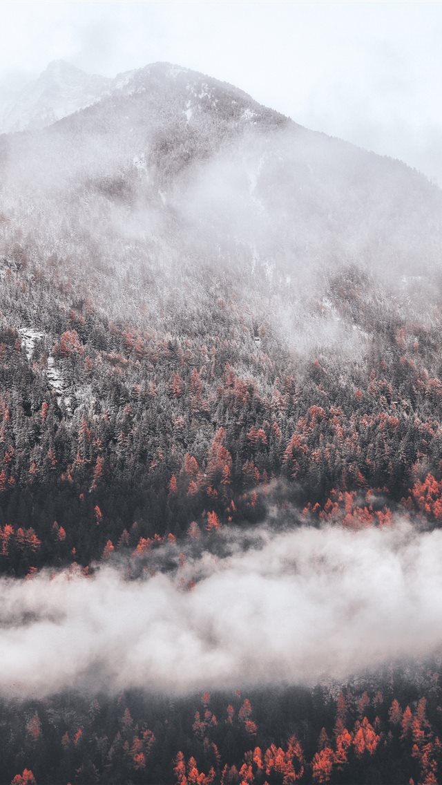 640x1136 White fall - fog iPhone Wallpaper