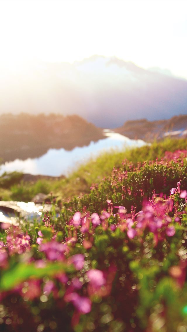 640x1136 Hidden Lake Lookout  Marblemount  United States - peak iPhone Wallpaper