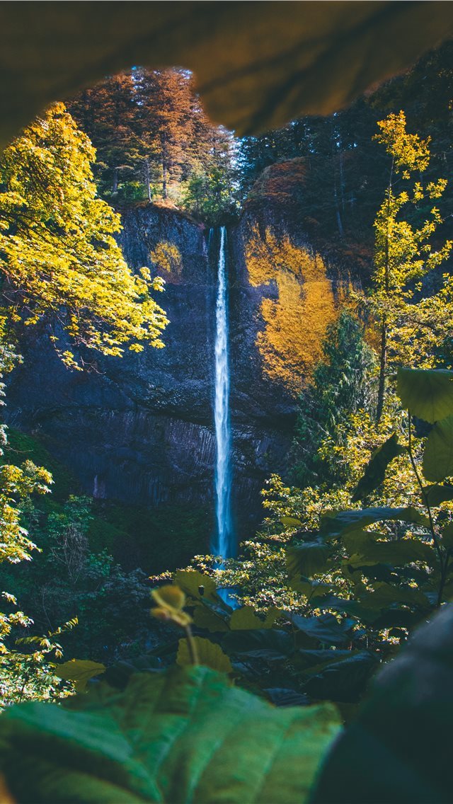 640x1136 Treasure what you find  - leaves iPhone Wallpaper