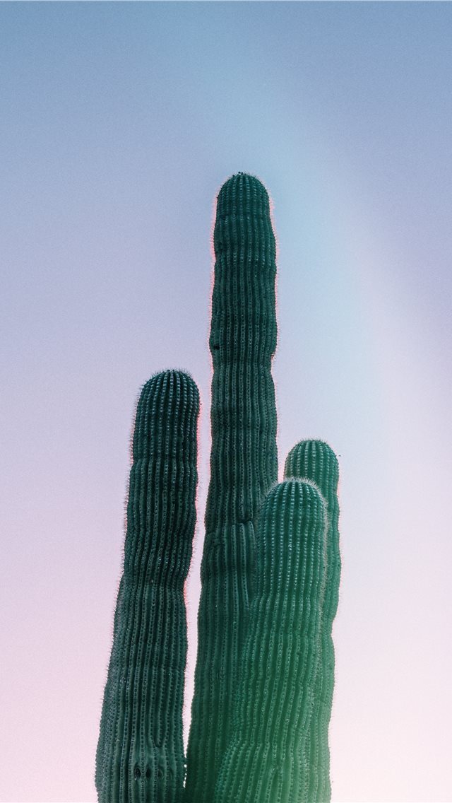 640x1136 Phoenix  United States - sunrise iPhone Wallpaper