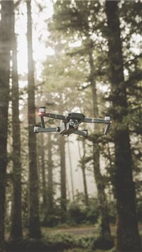 Oregon  United States wallpaper