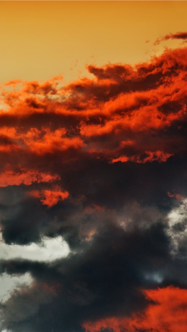640x1136 Love prefers twilight to daylight  - contrast iPhone Wallpaper