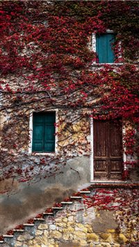 NATURA IN CASA wallpaper