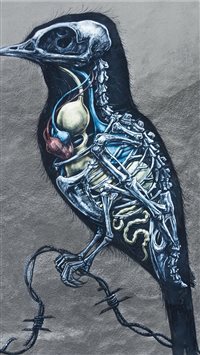 Best Wall Iphone Wallpapers Hd Ilikewallpaper