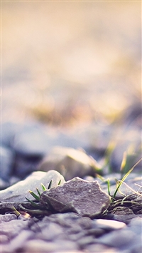 Pebbles Macro wallpaper