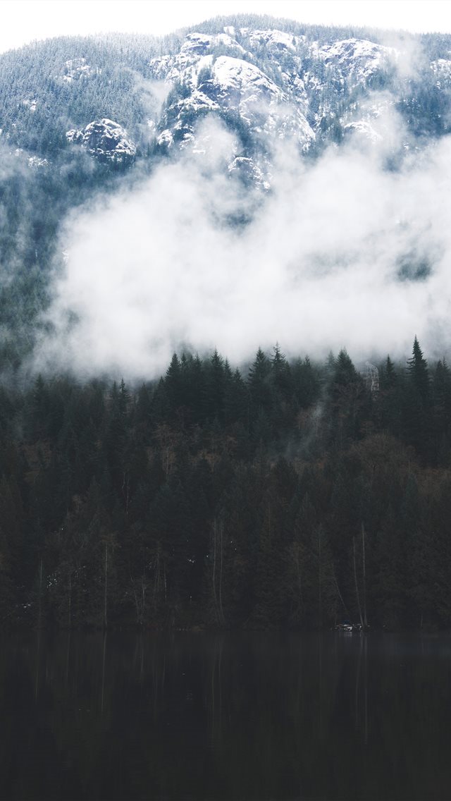 640x1136 Buntzen Lake in British Columbia  Canada - fog iPhone Wallpaper