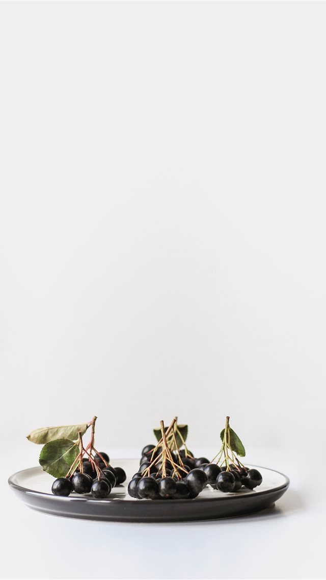 640x1136 Minimal shot of aronia berries on white - fruit iPhone Wallpaper