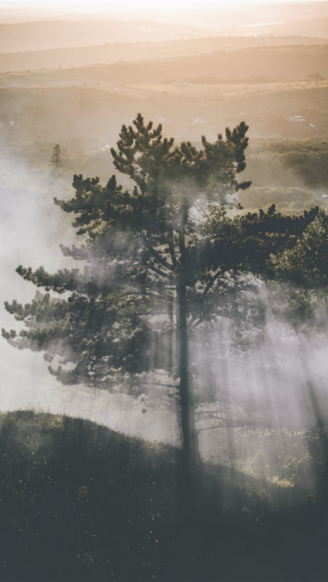 640x1136 Iași  Romania - valley iPhone Wallpaper