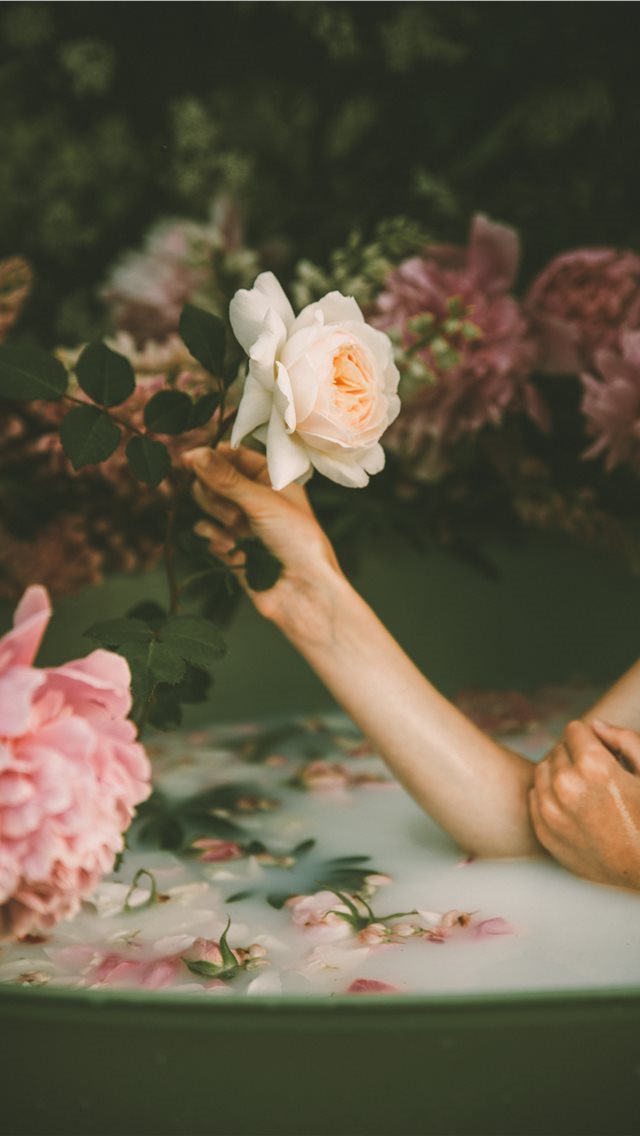 640x1136 flower - hand iPhone Wallpaper