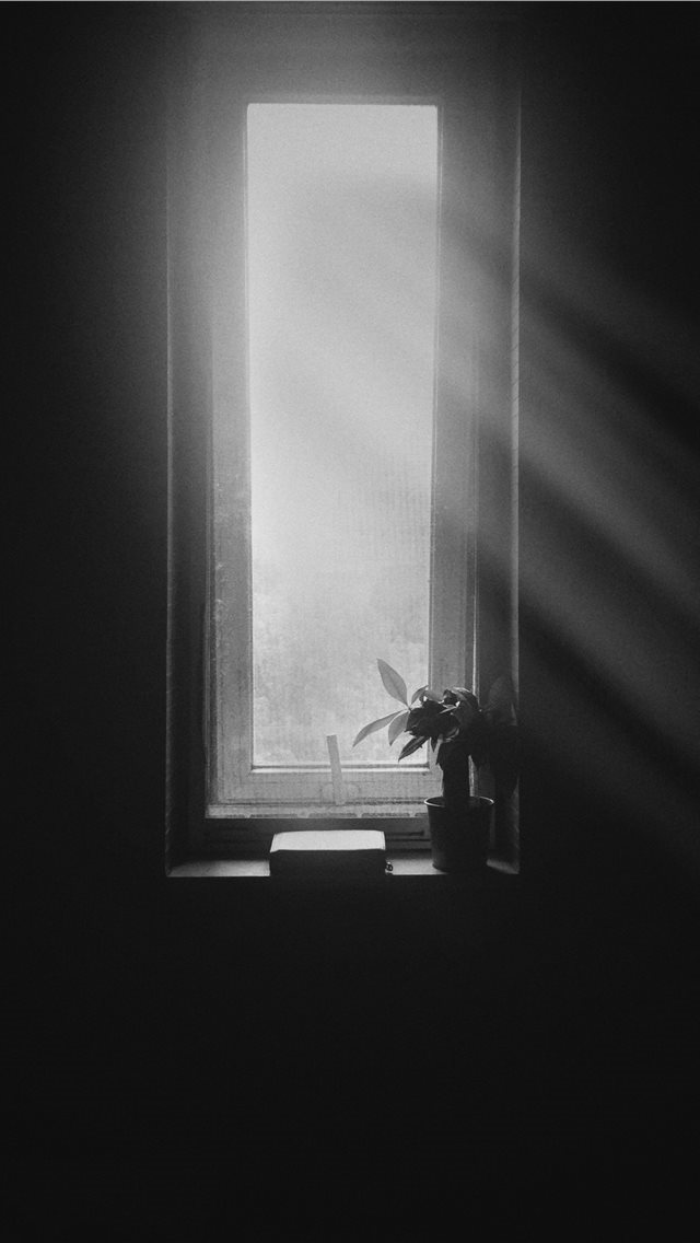 640x1136 light - window iPhone Wallpaper