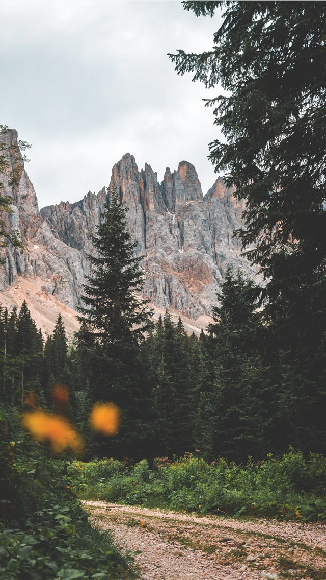 640x1136 losing days - yellow flower iPhone Wallpaper