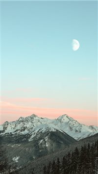 Winter Idyll wallpaper