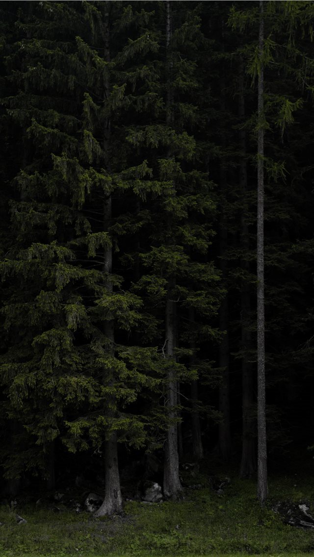 640x1136 anguished - darkness iPhone Wallpaper