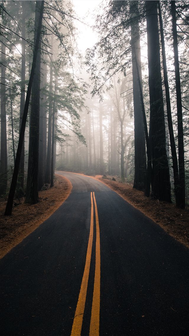640x1136 Mount Tamalpais  United States - mist iPhone Wallpaper
