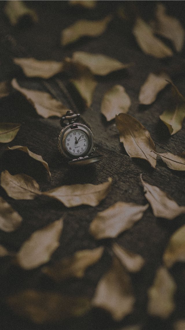 640x1136 wood - watch iPhone Wallpaper
