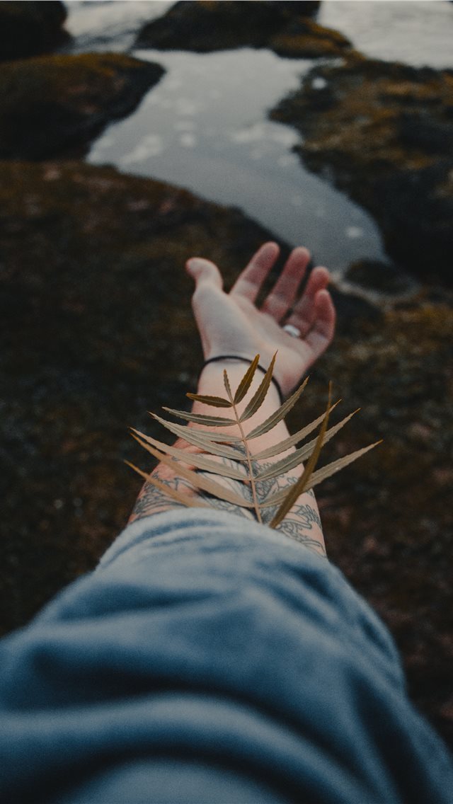 640x1136 Human by nature - hand iPhone Wallpaper