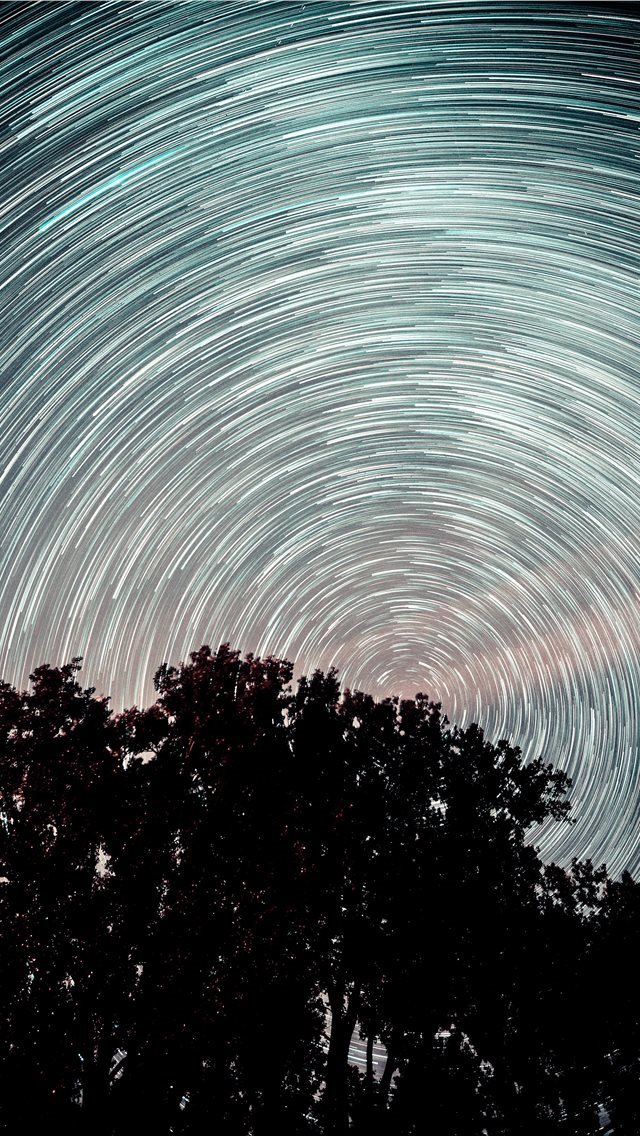 640x1136 Startrail over trees - long exposure iPhone Wallpaper