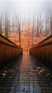 Arlington  United States wallpaper