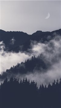 Waxing moon wallpaper