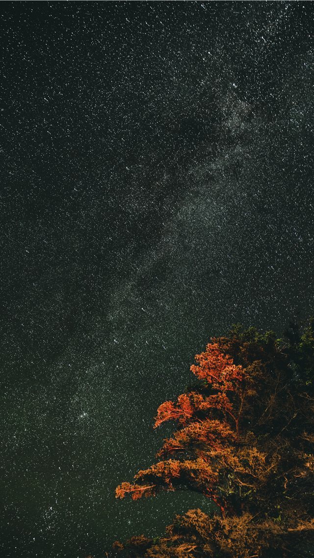 640x1136 PEI Nights - astrophotography iPhone Wallpaper