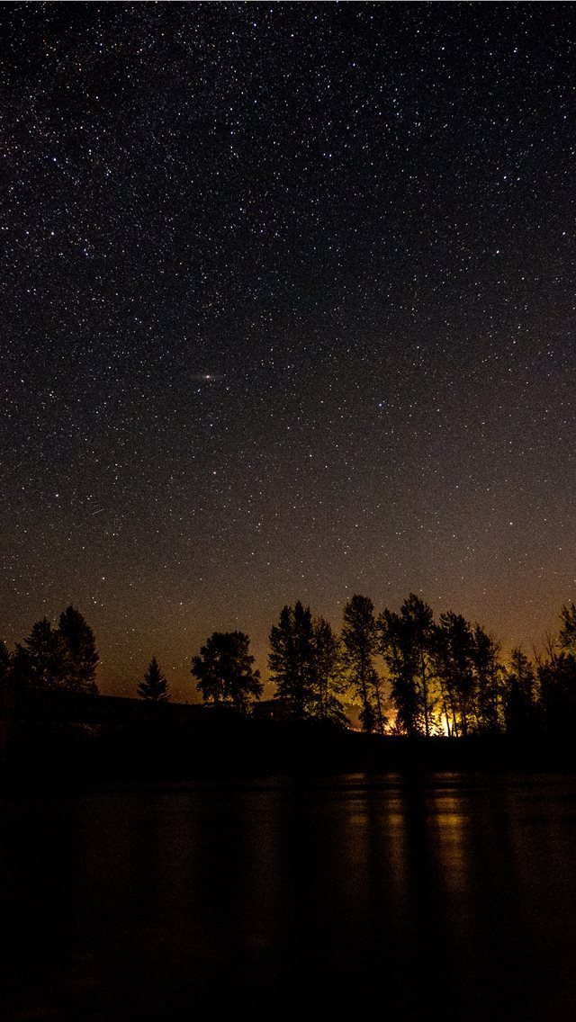 640x1136 A Drive in the Woods - montana iPhone Wallpaper