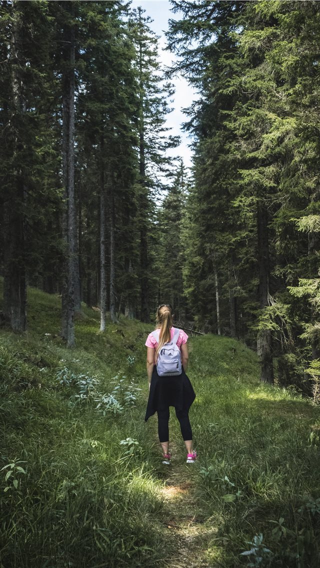 640x1136 Hiking trough the woods - moody iPhone Wallpaper