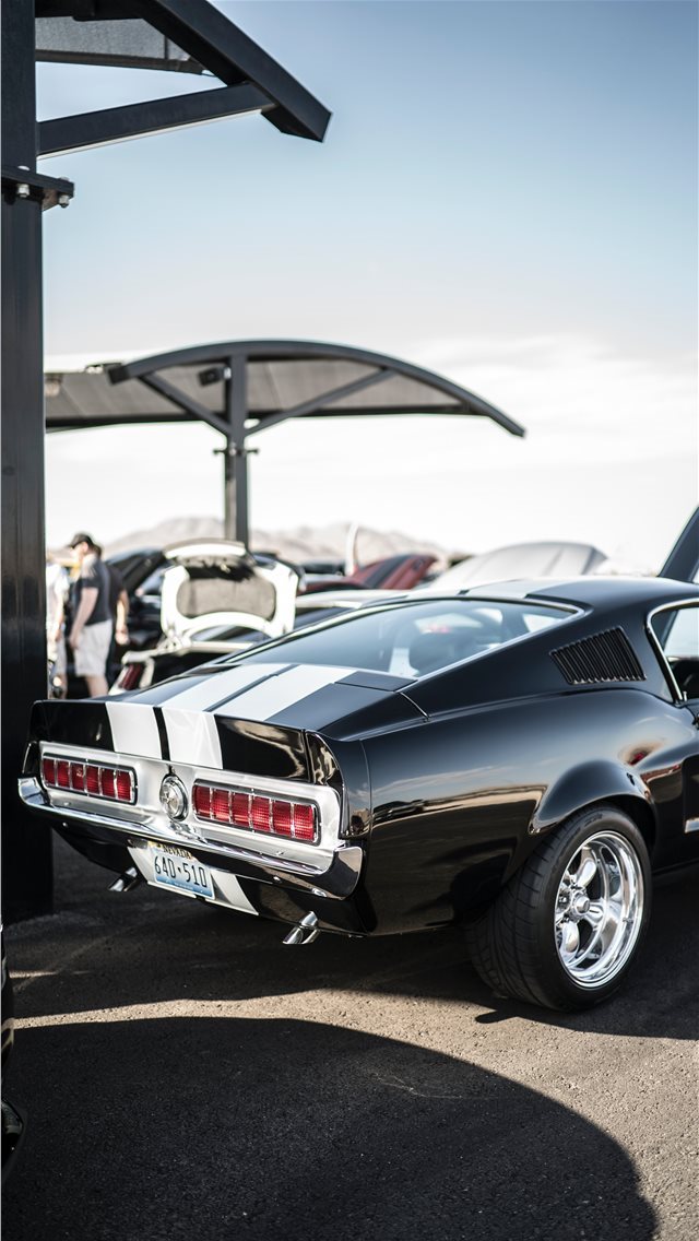 640x1136 “In the rear with the gear” - 35mm iPhone Wallpaper