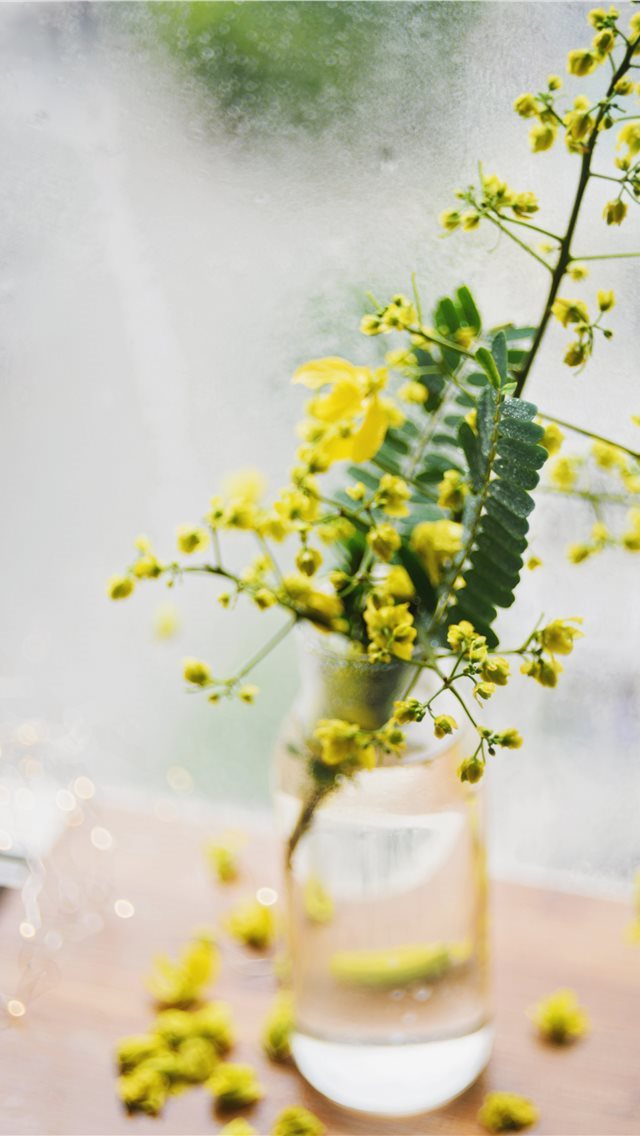 640x1136 Still life with yellow wild flowers in a vase - window iPhone Wallpaper