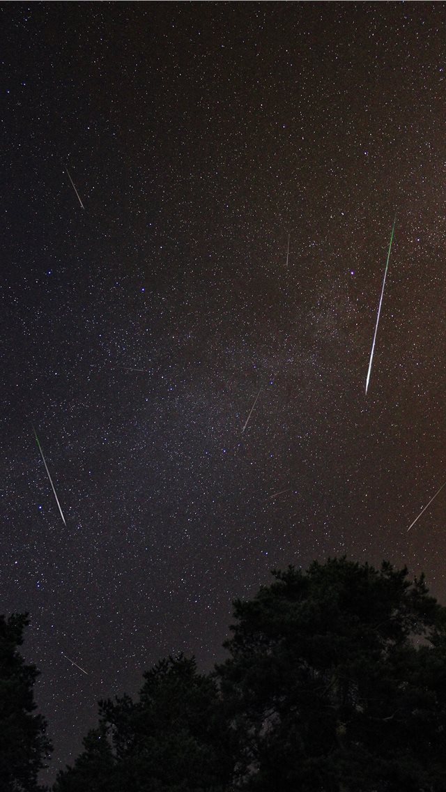 640x1136 This is Perseid Meteor Shower - meteor iPhone Wallpaper